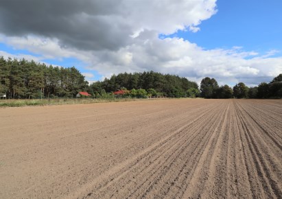 działka na sprzedaż - Mieścisko, Gorzewo